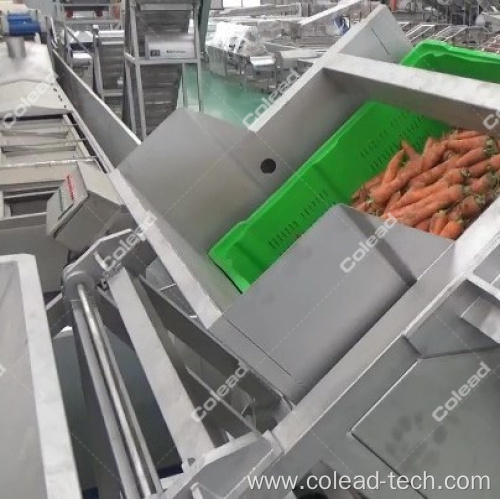 Hydraulic Tipping Machine for Root Vegetables Onion Potato